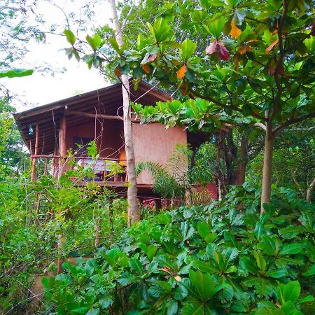 Akash Treehouse Apartment สิกิริยา ภายนอก รูปภาพ