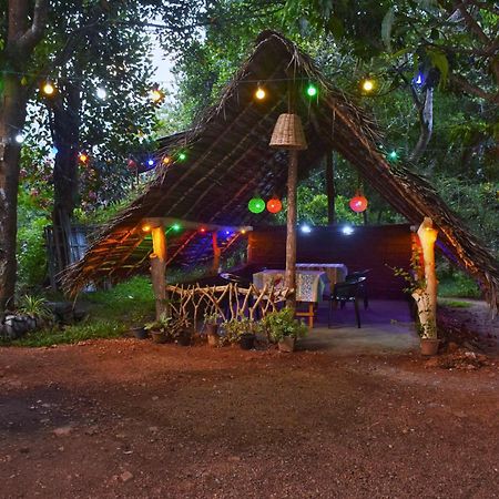 Akash Treehouse Apartment สิกิริยา ภายนอก รูปภาพ