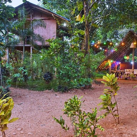 Akash Treehouse Apartment สิกิริยา ภายนอก รูปภาพ