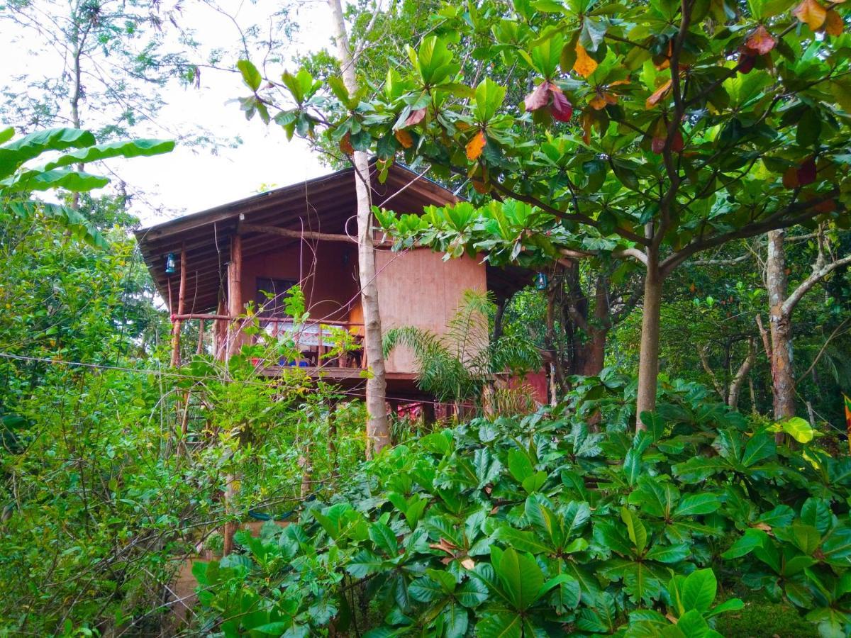 Akash Treehouse Apartment สิกิริยา ภายนอก รูปภาพ