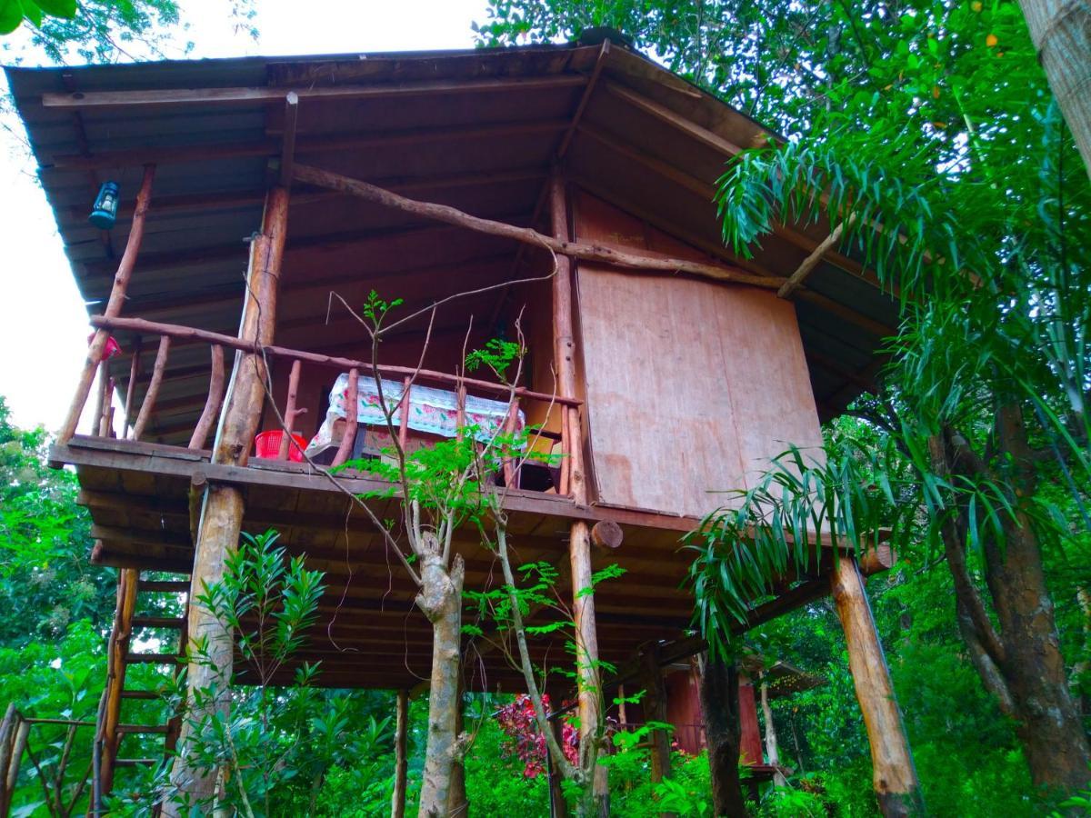 Akash Treehouse Apartment สิกิริยา ภายนอก รูปภาพ