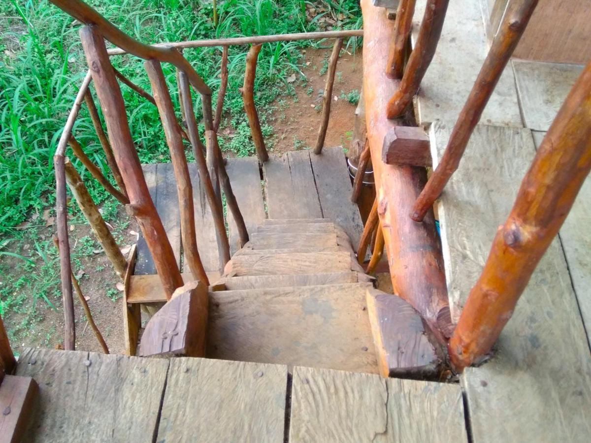 Akash Treehouse Apartment สิกิริยา ภายนอก รูปภาพ