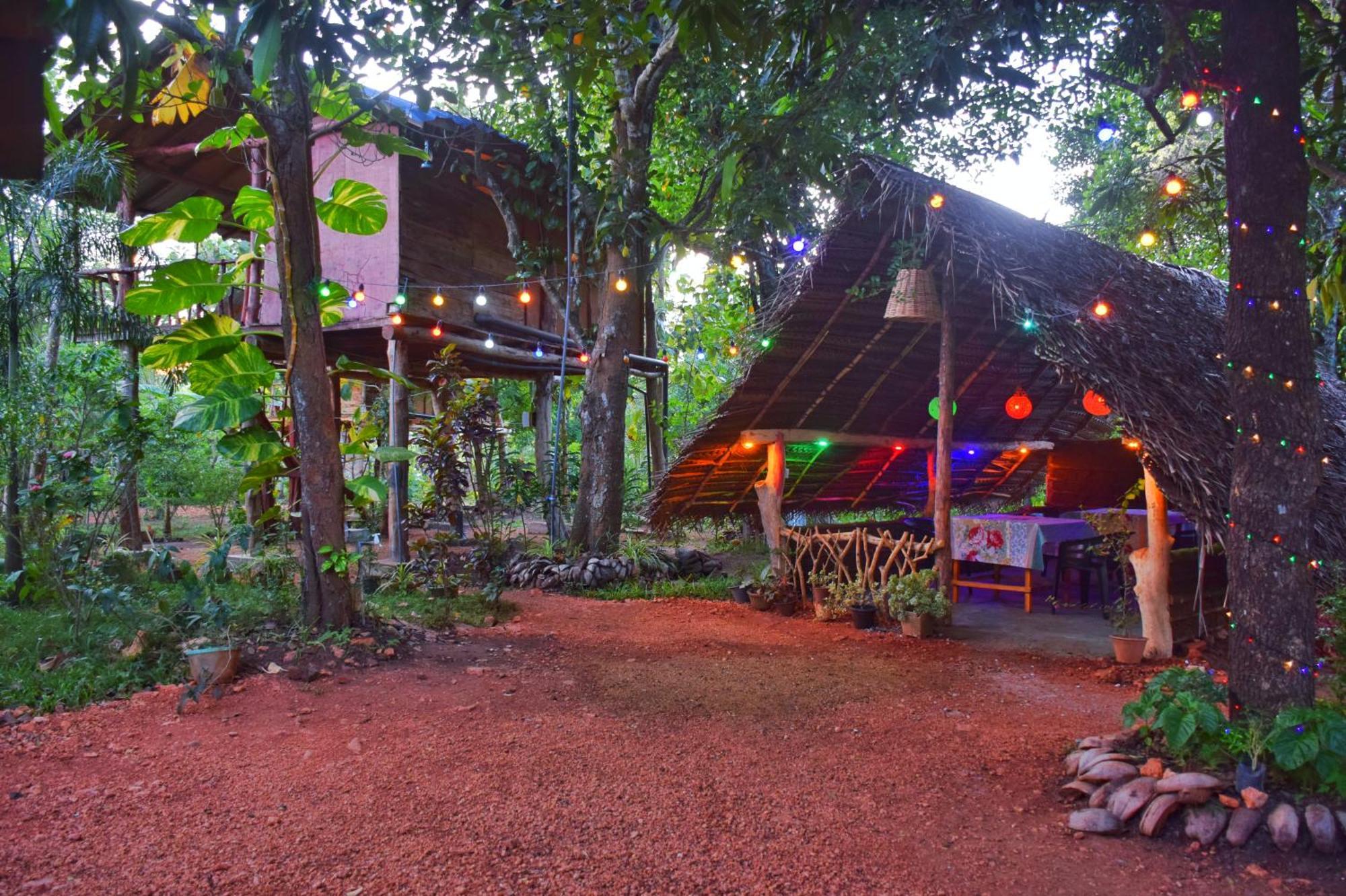 Akash Treehouse Apartment สิกิริยา ภายนอก รูปภาพ