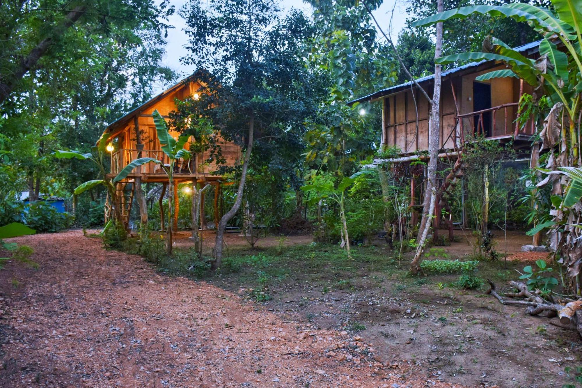 Akash Treehouse Apartment สิกิริยา ภายนอก รูปภาพ