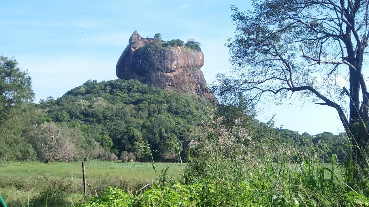 Akash Treehouse Apartment สิกิริยา ภายนอก รูปภาพ