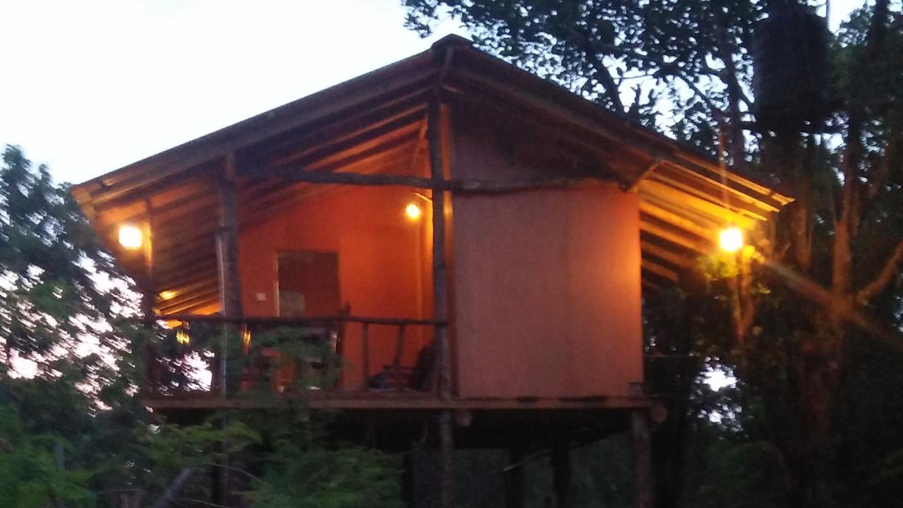 Akash Treehouse Apartment สิกิริยา ภายนอก รูปภาพ