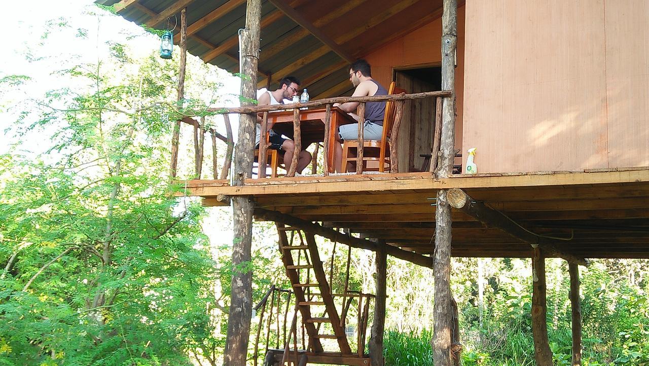 Akash Treehouse Apartment สิกิริยา ภายนอก รูปภาพ